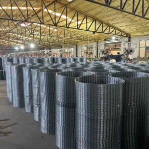 Stainless Steel Barbed Wire
